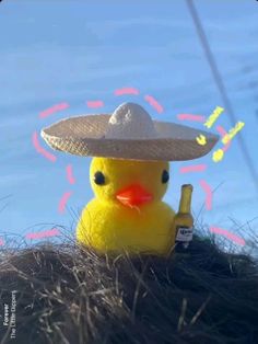 Retrato del pato